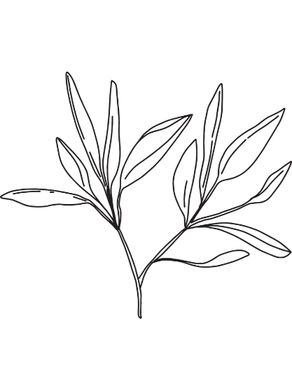 Sage