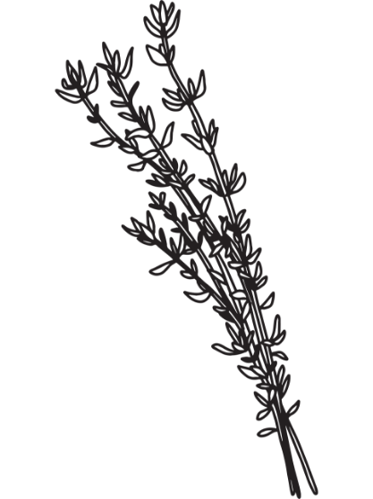 Thyme